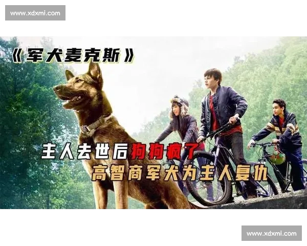 《勇敢与智慧的较量 全能军犬展现卓越本领的竞技盛宴》